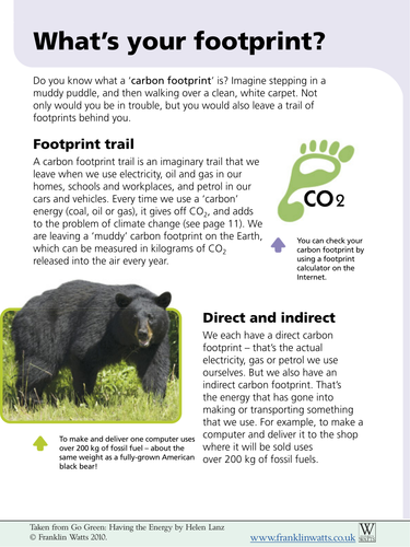 Carbon Footprint summary