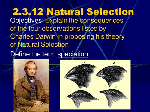 Natural Selection & Speciation