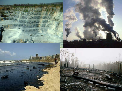 AQA B1b Sustainable Development