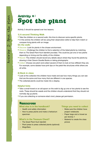 Spot the Plant activity for 5-6 year-olds