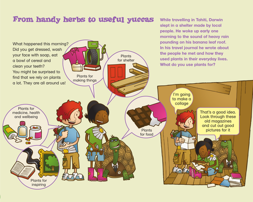 'Handy Herbs' activity for all primary year groups