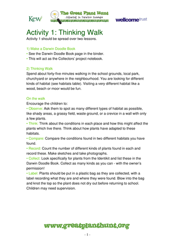 Thinking Walk for 8-9 year olds