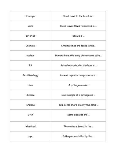 B1 Revision loop game - low ability