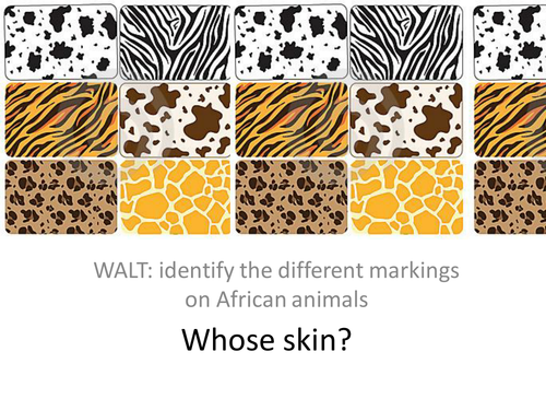 animal zoo worksheet which by the skin Identify animal of patterns each be