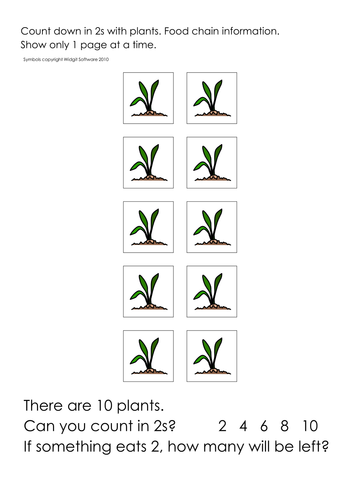 Plants: growth sequence/ parts/wheat/compost