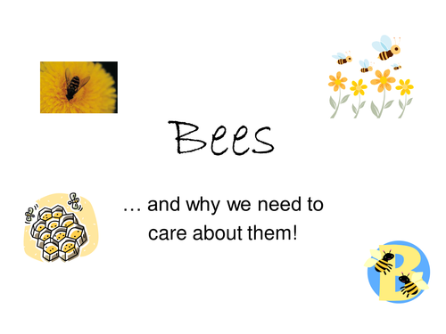 Bees ... and why  we need to care about them!
