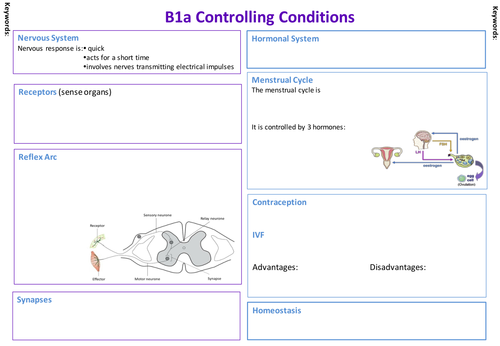 AQA B1a Revision Poster Template