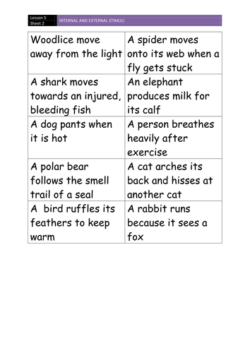 year 8 science behaviour lesson 5 teaching resources