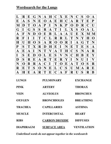 Lungs: Keyword Wordsearch Respiration