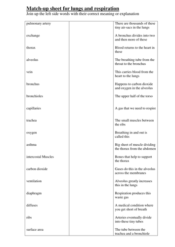 lungs match-up keywords to correct defintions