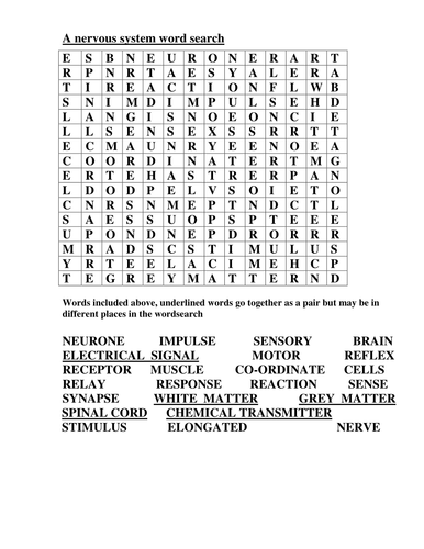 wordsearch for keywords connected to nerves