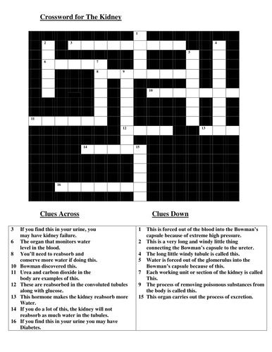 Kidney Keywords: Crossword Puzzle with Answers