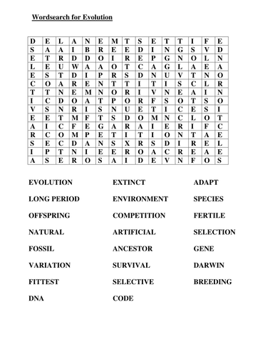 wordsearch for keywords connected to evolution