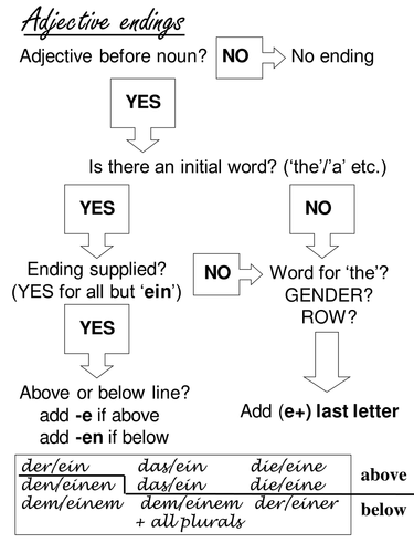 Adjective endings notes