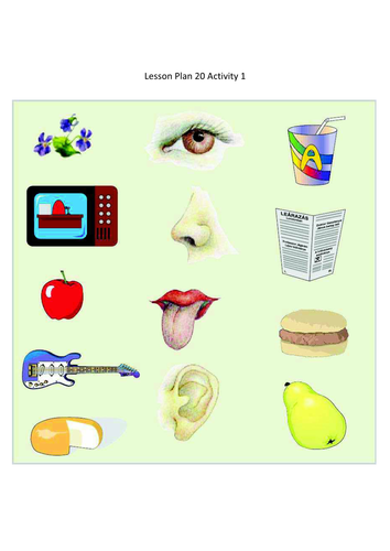 Counting to 5, lesson 20 | Teaching Resources