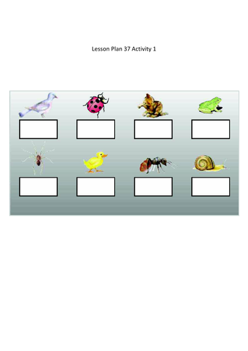 Counting to 8, lesson 5