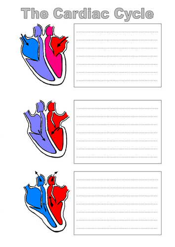 OCR AS Biology The Cardiac Cycle by stephc2 - UK Teaching Resources - TES