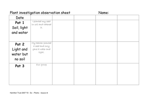 Seed investigation by HamiltonTrust - Teaching Resources - Tes