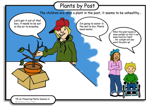 Plant revision
