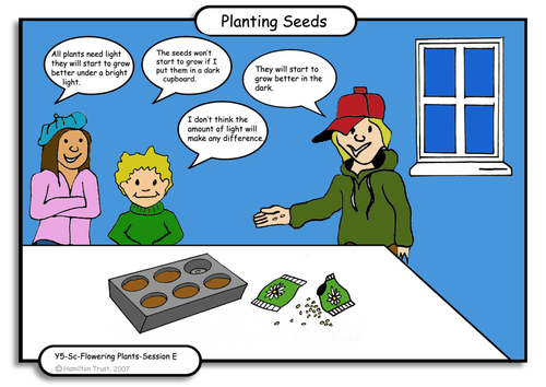 Seed germination investigation