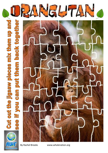 Orangutan Jigsaw