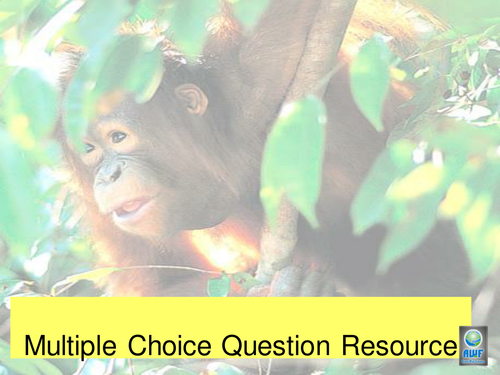 Orangutans Multiple Choice