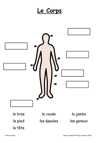 Widgit- French: parts of the body