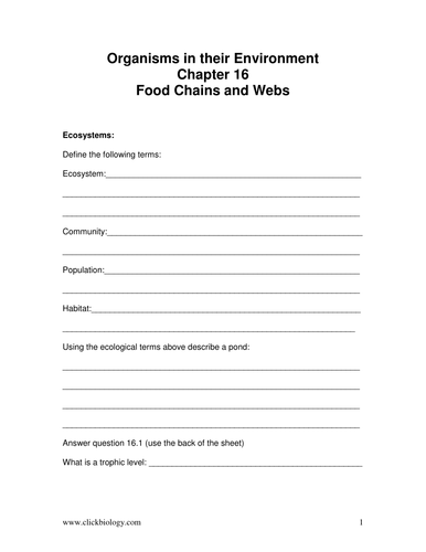 food chains and webs worksheets