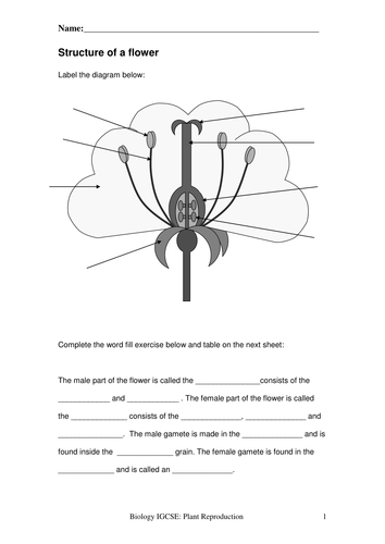 Worksheets and presentation for plant reproduction