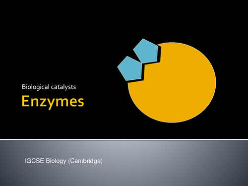 Powerpoint presentation and video on enzymes