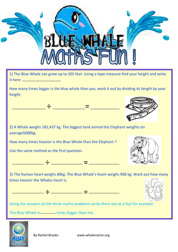 Blue Whale Maths Activity