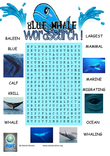 Blue Whale Wordsearch - includes solution