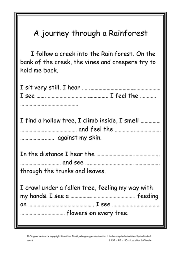 Where The Forest Meets The Sea Teaching Resources