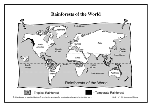 Rainforests: Looking into deforestation