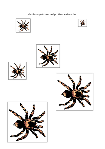 Aaaarrgghh, Spider! Teaching Resources