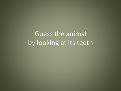 starter about teeth
