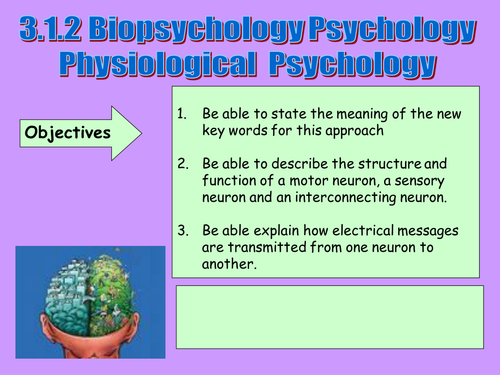 AQA AS Biopsychology - Nervous System by Charlottex13x ...