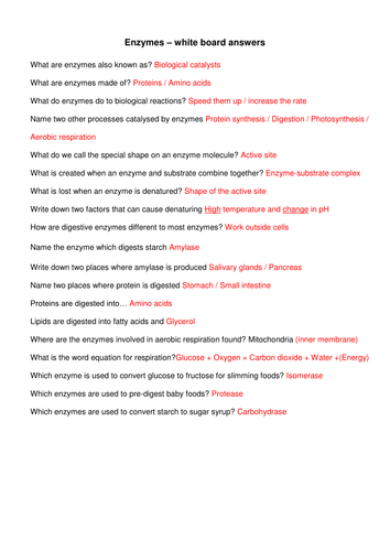 Enzymes mini whitboard q+a activity