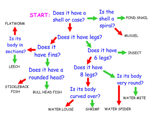 Identification/classification key