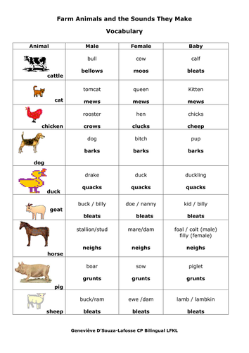 middle school vocabulary worksheet Teaching Animals Make gennyg Farm and They by the Sounds