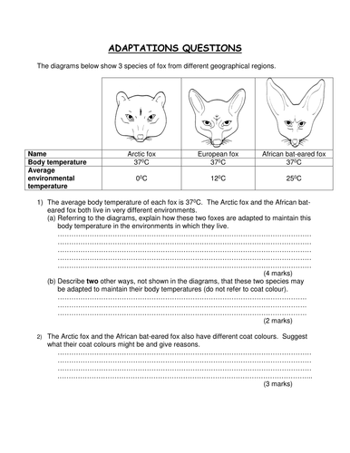 Adaptations of animals | Teaching Resources