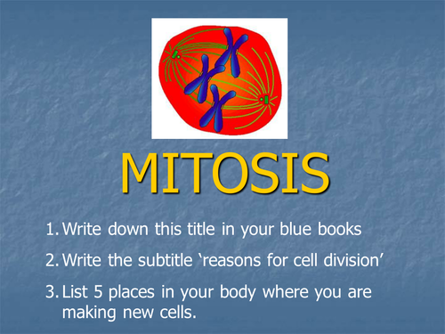Mitosis lesson