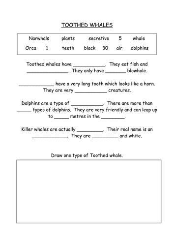 Toothed Whales Worksheet
