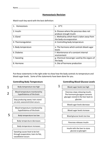 Printables Homeostasis Worksheet homeostasis revision worksheet by edp10ch teaching resources tes