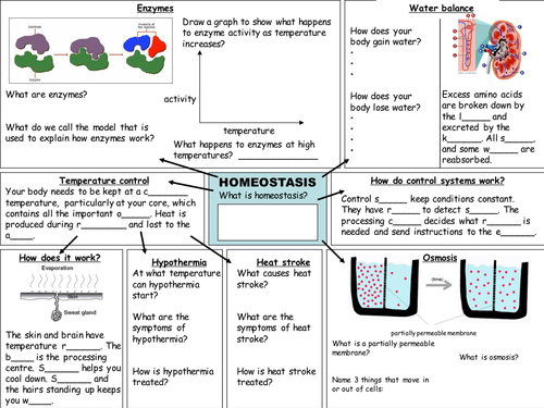 21st century B4 C4 P4 Revision worksheets