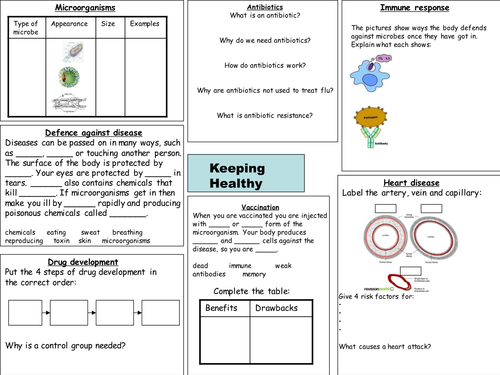 B2 Keeping Healthy revision worksheet