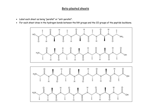 Beta sheets