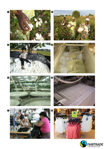 Investigating cotton - Ages 11+