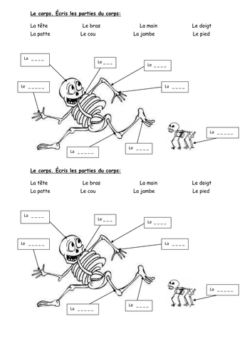 body parts metro 2 vert