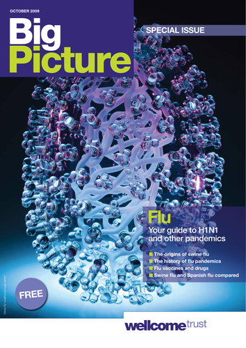 Big Picture: Influenza - magazine